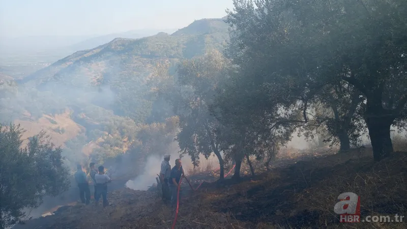 Antalya, Adana, Marmaris, Mersin, Muğla, Osmaniye ve Kayseri'deki orman yangınlarına müdahale ediliyor! Kahreden görüntüler 23