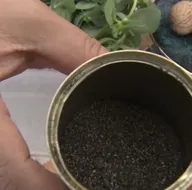 Son dakika: YKS ve LGS sınavına girecek öğrencilere uzman isimden kritik uyarılar! İşte stresi azaltan ve mutlu eden besinler