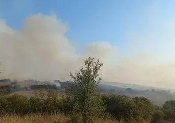 Balıkesir'de yangın ekipleri alarma geçirdi!