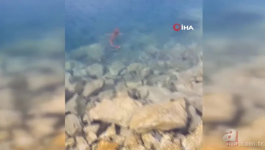 Levrek yakaladığını zannetti! Oltasına takılan balığı görünce gözlerine inanamadı 1