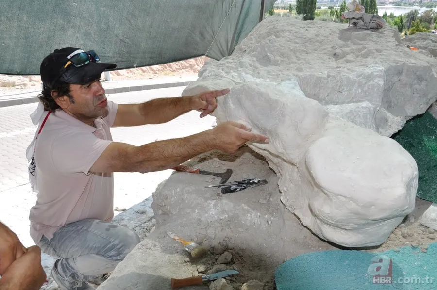 Kapadokya'da 9 milyon yıllık fosiller gün yüzüne çıkarılıyor 8