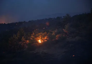Kahramanmaraş'taki orman yangını söndürüldü