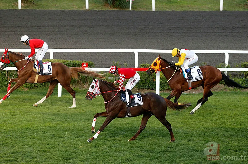 Gazi Koşusu ne zaman saat kaçta? 93. Gazi Koşusu hangi kanalda? 3