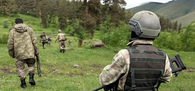 TSK: 5 PKK'lı Silopi'de teslim oldu