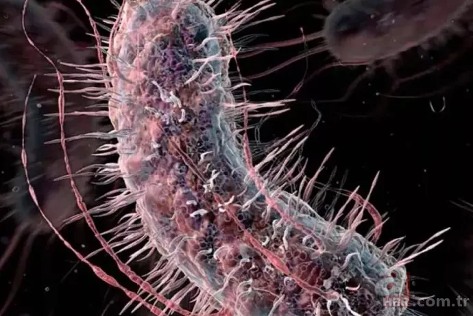 Koronavirüsten sonra dünyayı bekleyen tehlike! Bilim insanlarının araştırması korkuttu: Et yiyen mikroplar 3