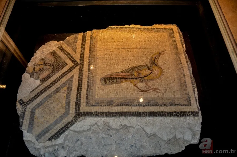 'Çingene Kızı' mozaiği Türkiye'ye getirildi 9