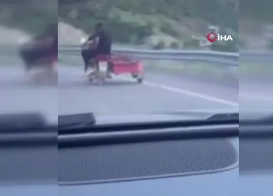 Telef olduğu iddia edilen köpeği motosikletle sürüklediler