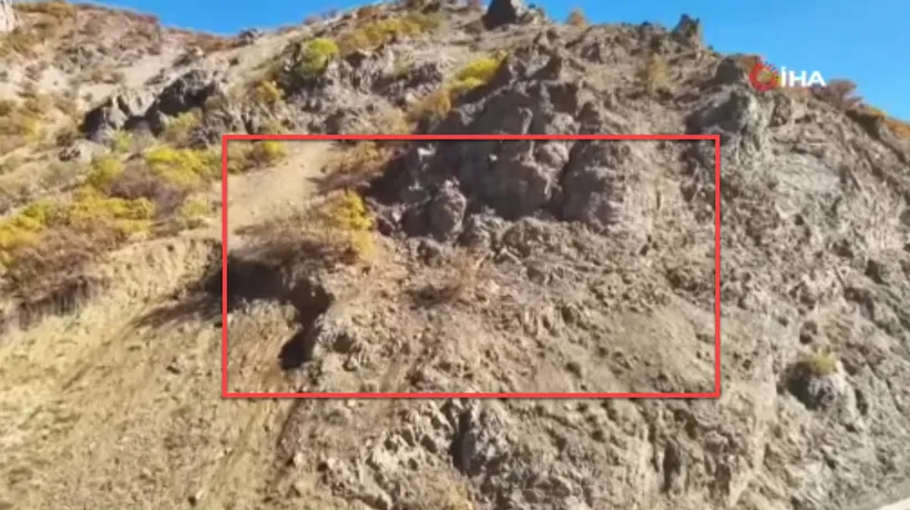 🎁Doğanın gizli hediyesi... 🎥Belgeselleri aratmayan görüntüler Türkiye'den