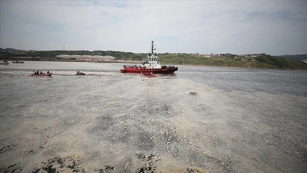 Marmara Denizi'nde yeni tehlike oksijen azlığı - 2