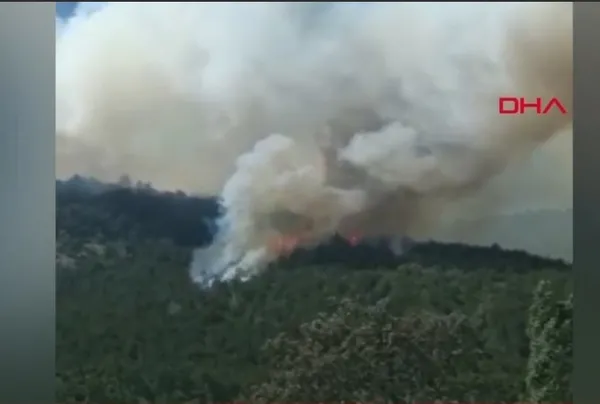 Eskişehir’de orman yangını kontrol altına alındı