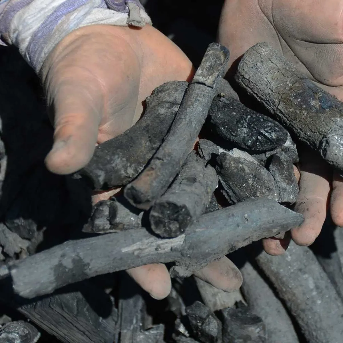 Mangal kömürü nasıl yapılıyor? Bir torba kömür için günler süren meşakkat