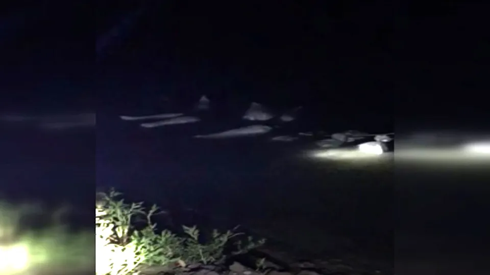 Van’da 15,5 ton kaçak avlanan inci kefali ele geçirildi | Video