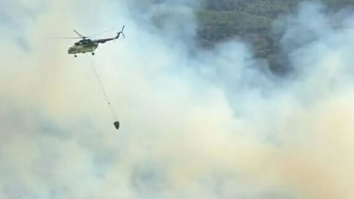 Aydın’da orman yangını! 6 uçak ve 5 helikopterle müdahale edildi, 2 saatte kontrol altına alındı