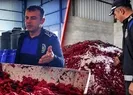 Vatandaşa yedireceklerdi! Mide bulandıran görüntü