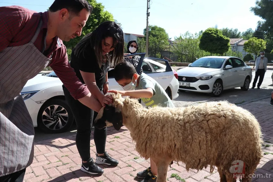 Başkan Erdoğan tedavisini üstlenmişti! Taburcu olan küçük Taha'ya Elazığ'da coşkulu karşılama 12