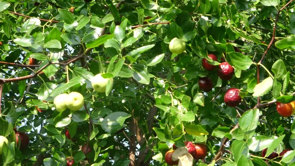 Fahiş fiyatla nasıl mücadele edilir? Uzmanlardan fahiş fiyata tavsiyeler