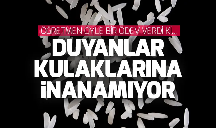 Çinde öğrencilere yüz milyon pirinç tanesi sayın ödevi