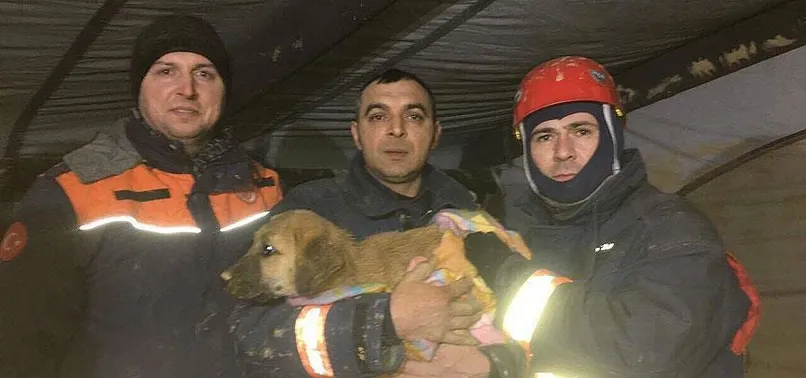 Beykoz'da kuyuya düşen köpek yavrusu kurtarıldı