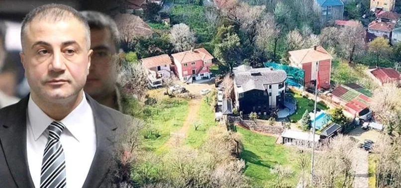 Son dakika: Sedat Peker suç örgütüne operasyondan yeni detaylar! O isim dikkat çekti: Robin Hood...