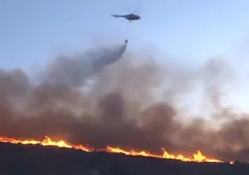 Son dakika: Bodrum'da yeni yangın | Kontrol altına alındı