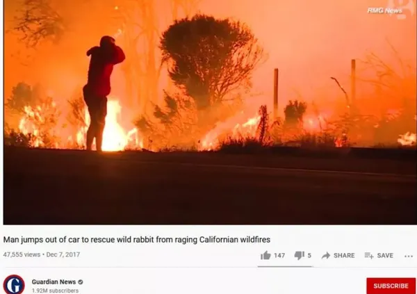 Gülben Ergen ve Atilla Taş’tan algı operasyonu! Yangın yalanını bilerek paylaştılar