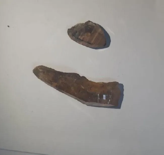 Muğla'da elmastan daha değerli 'painite' taşı ele geçirildi! Piyasa değeri 525 milyon dolar - 2