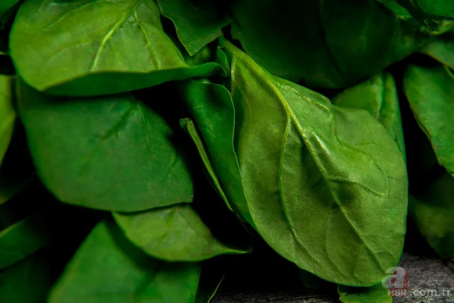 Haşlanarak tüketildiğinde mucize yaratan besinler: Demir ve vitamin deposu gıdalar 7