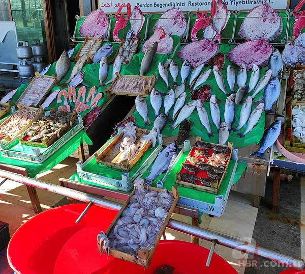 Balık fiyatlarına lodos etkisi! Fırtına balık tezgahlarını nasıl etkiledi? Tezgahta balık fiyatları nasıl? Balık fiyatları ne zaman düşer? 2