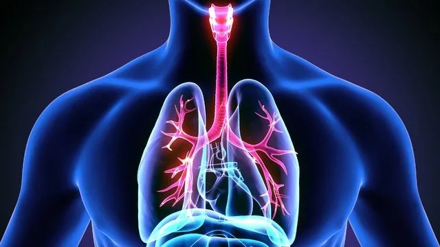 Akciğer kanseri belirtileri nelerdir?