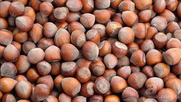 Fındık fiyatları son dakika: 7 Aralık Ordu, Giresun, Samsun, Trabzon güncel fındık alış-satış fiyatları ne kadar? 12