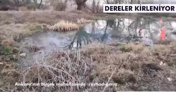 Mansur Yavaş, hizmette yavaş! Ankara’da birçok mahallede derelere kanalizasyon suları akıyor - 1