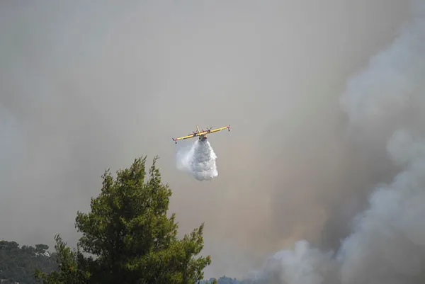 Başkan Erdoğan talimat verdi! Türkiye’den Yunanistan’a yangın söndürme desteği