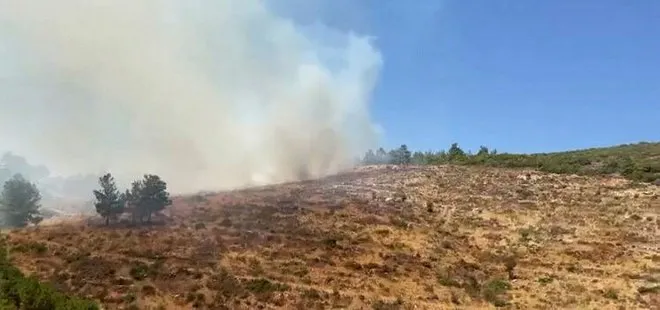 Son dakika: Bodrum ve Milas’ta orman yangını