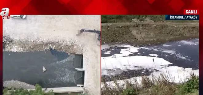 Ayamama deresi karardı! Marmara denizi ölüyor