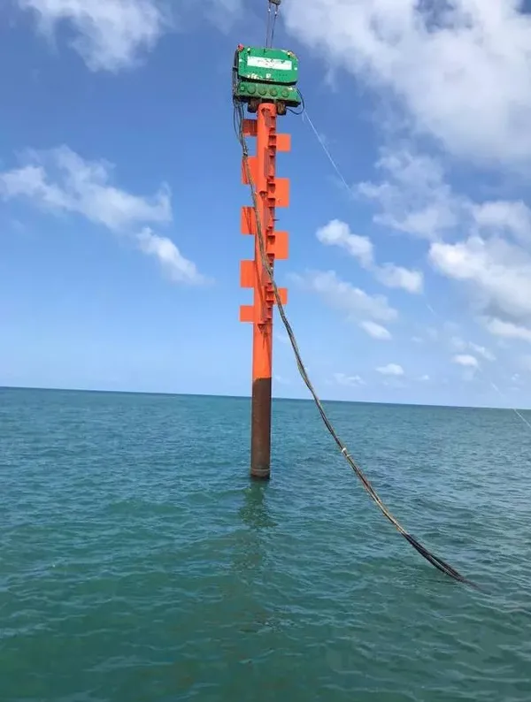 Karadeniz'in dalgaları elektrik üretecek! Tarih belli oldu - 3