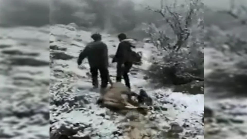Dağ keçisi avlayan avcıların bu görüntüleri sosyal medyada gündem oldu