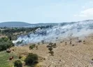 Muğlada korkutan orman yangını!