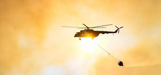Adana'da tarladan ormana sıçrayan yangın söndürüldü