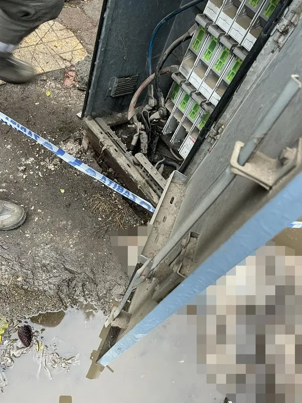 sanliurfada-kan-donduran-goruntu-kopek-elektrik-akimina-kapilarak-telef-oldu-1637502971938.jpg Şanlıurfa’da kan donduran görüntü! Köpek elektrik akımına kapılarak telef oldu - 2