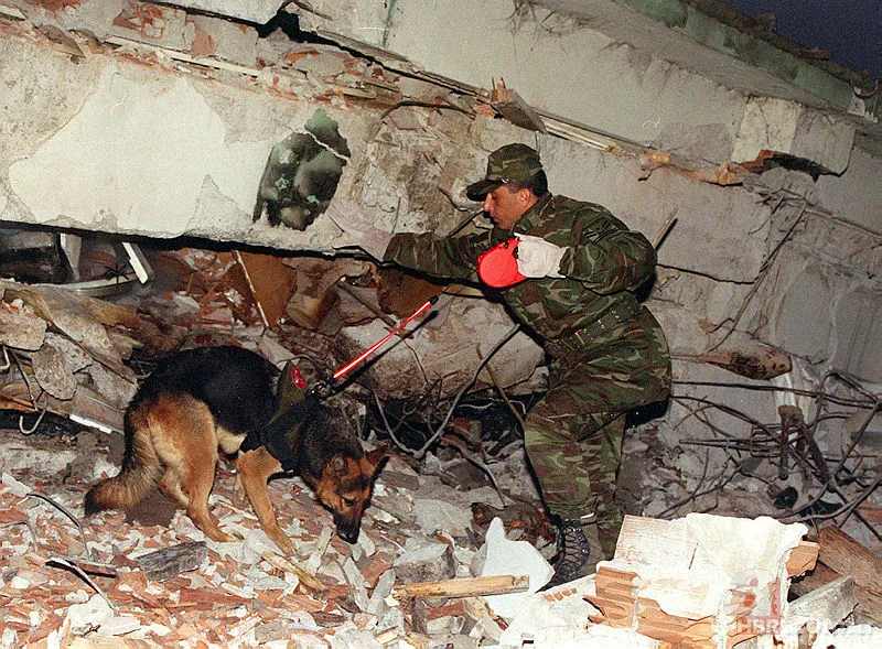 Düzce'de 22 yıl sonra korkutan deprem! 12 Kasım Düzce depreminde kaç kişi öldü, kaç şiddetinde oldu? 9