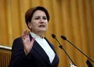 Meral Akşener, HDPli başkanların görevden alınmasına tek kelime edemedi