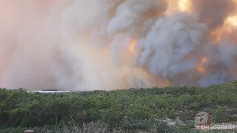 Son dakika: Antalya Manavgat'ta orman yangını! Alevler yerleşim yerlerine sıçradı 13