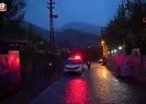 Ayılar bu kez mezarlığa dadandı!