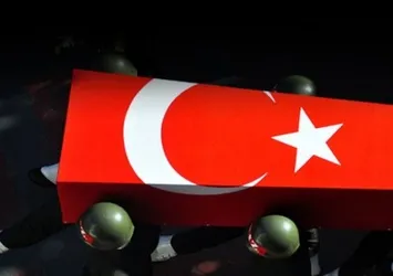 Bitlis'te PKK operasyonunda 2 asker şehit