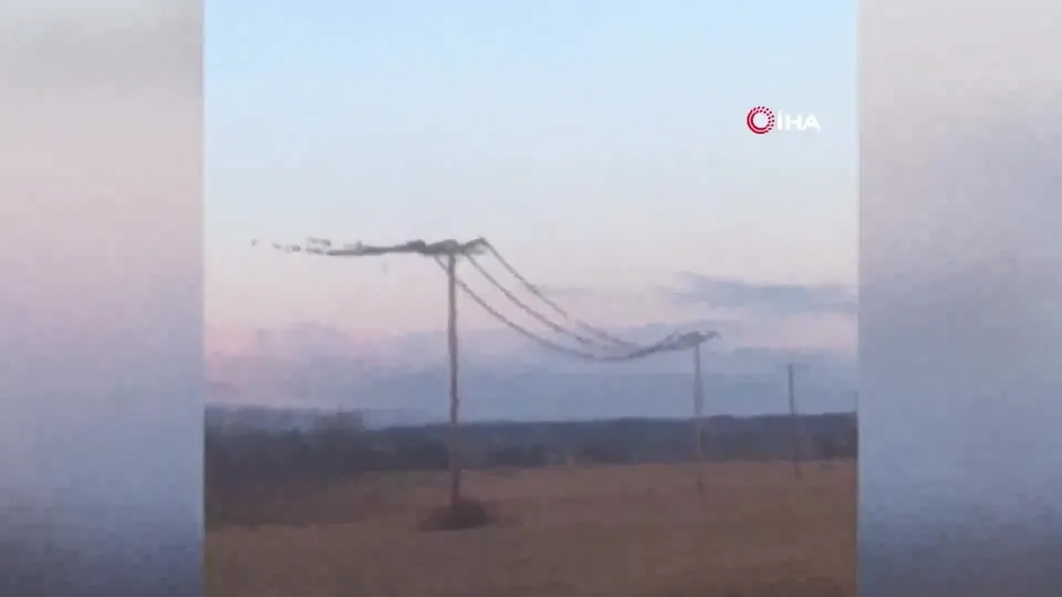 Sığırcık kuşlarının dansı elektrik kesintilerine yol açtı