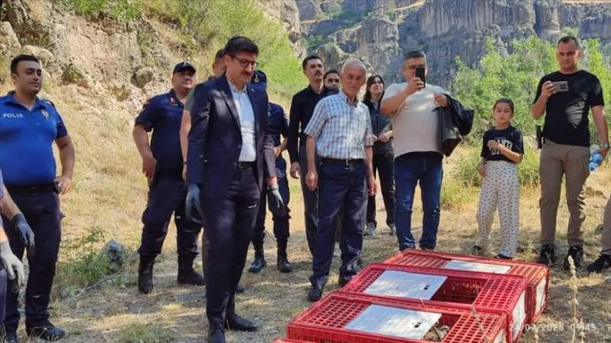 Bolu'da doğaya 600 kınalı keklik bırakıldı