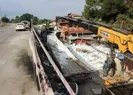 Boya yüklü tır 5 metreden aşağı uçtu