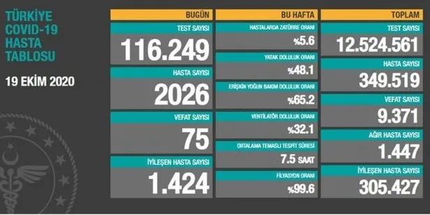 20 Ekim korona tablosu: Türkiye'de corona virüsü vaka sayısı kaç oldu? Koronadan kaç kişi öldü? - 2