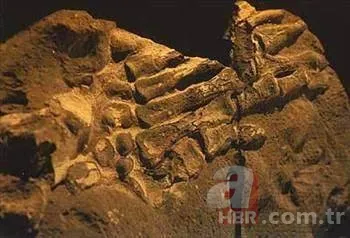 Bilim insanları Aztekler’e ait kafatasları karşısında şoke oldu! Kafatası kulesi… 21