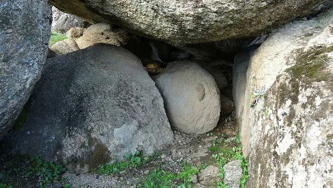 Aydın’da 7 bin yıllık mağara ve kaya resimleri bulundu